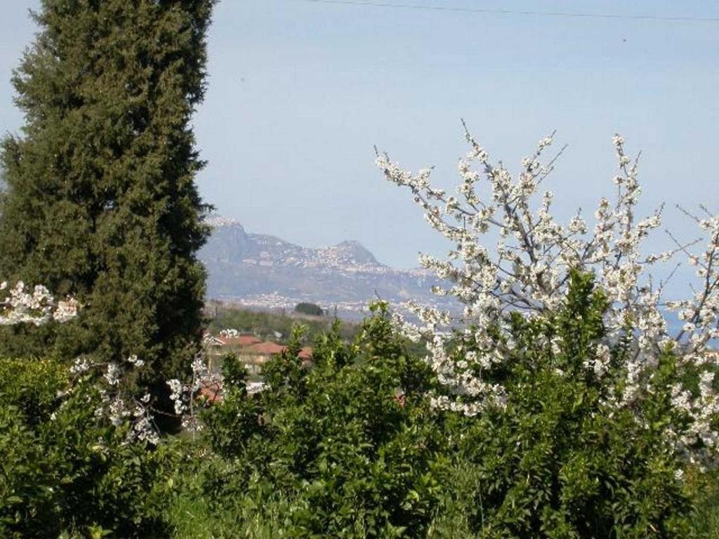 Bed and Breakfast Baglio Delle Rose Giarre Exterior foto
